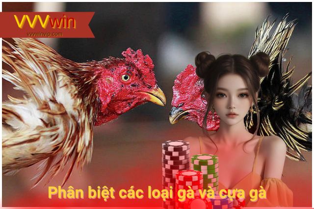 Phân biệt các loại gà