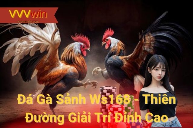 Đá Gà Sảnh Ws168 - Thiên Đường Giải Trí Đỉnh Cao Của Nhà Cái VVVwin